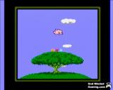 When pigs fly